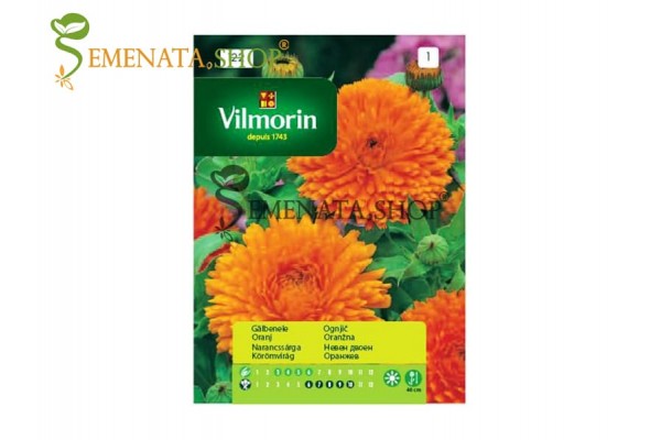 Семена на Невен (Календула) - Calendula officinalis оранжево цвете с много полезни свойства