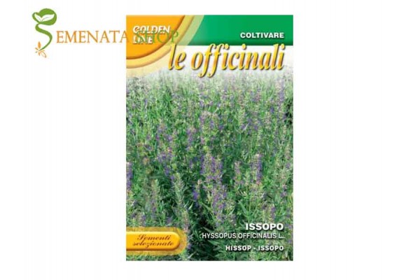 Семена на лечебен Хизоп (Исоп) - Hyssopus officinalis Семена на лечебен Хизоп (Исоп) - Hyssopus officinalis