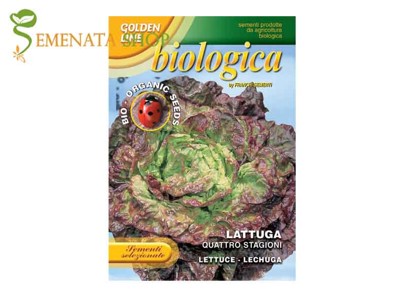 Семена на Био салата четири сезона - Салати и марули семена с отлична цена: 3.90 лв. Семена на Био салата четири сезона - Салати и марули семена с отлична цена: 3.90 лв.