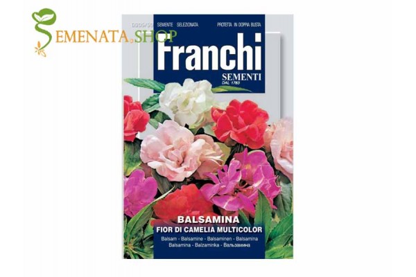 Микс от семена на Импатиенс Балсамина - кичесто Циганче Микс от семена на Импатиенс Балсамина - кичесто Циганче