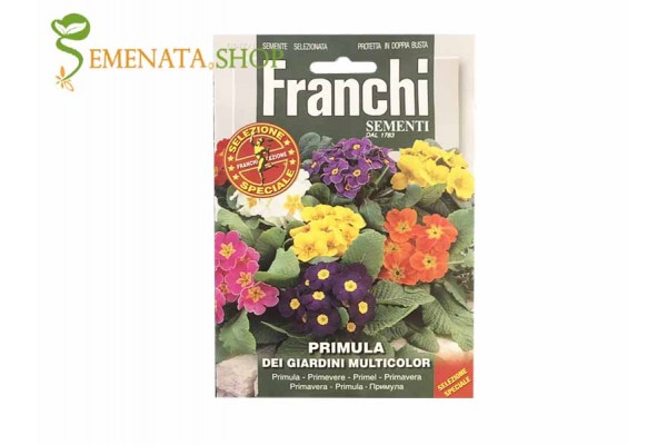 Семена на обикновена Иглика микс (Примула) - Primula acaulis Семена на обикновена Иглика микс (Примула) - Primula acaulis
