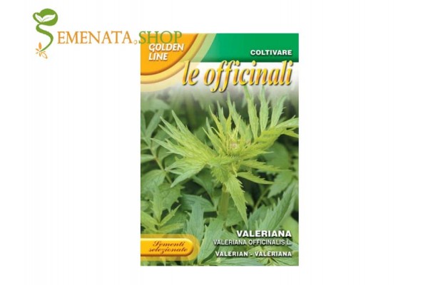 Семена на Валериана за саксия и градина - Valleriana officinalis, Лечебна Дилянка Семена на Валериана за саксия и градина - Valleriana officinalis, Лечебна Дилянка