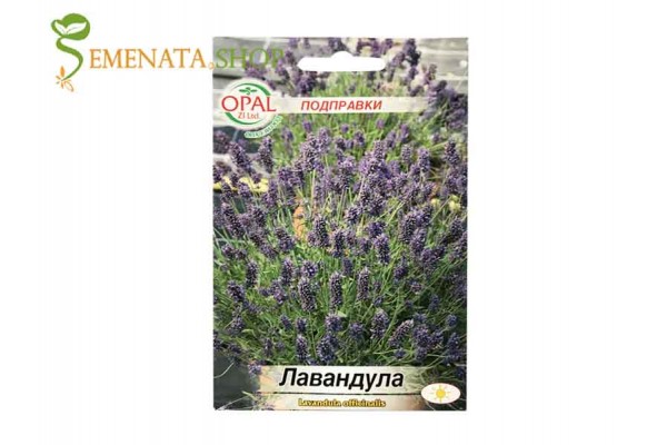 Семена на Лавандула - Lavandula officinalis