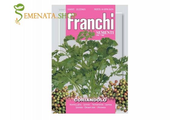 Семена от ароматен Кориандър (Coriandrum sativum) - средиземноморски полъх за Вашата градина