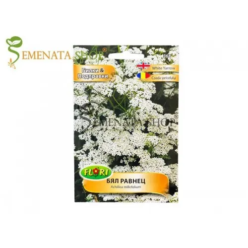 Семена за билка Бял Равнец - Achillea millefolium