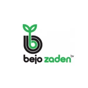 Bejo Zaden