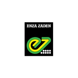 Enza Zaden