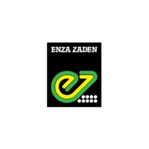 Enza Zaden