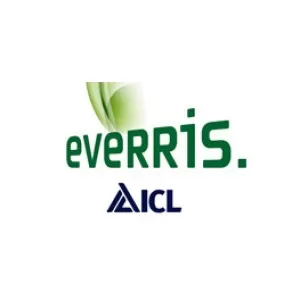 Еверист и ICL