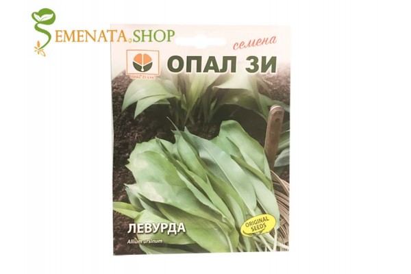 Семена на див чесън или Левурда (мечи лук) - зеленчук с наситен аромат и изключителна полза Семена на див чесън или Левурда (мечи лук) - зеленчук с наситен аромат и изключителна полза